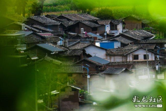安吉潮奶的力量平凡而不平凡